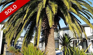 Botany Palms